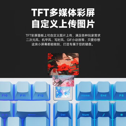 机械键盘技术规格