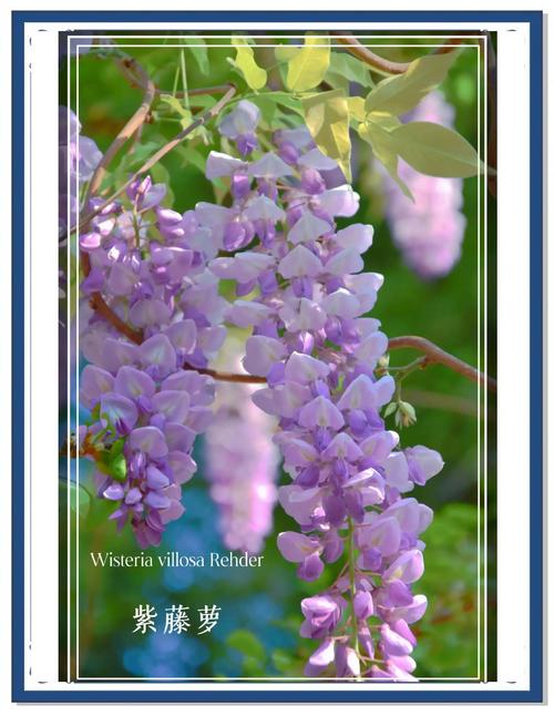 键盘RGB灯效展示