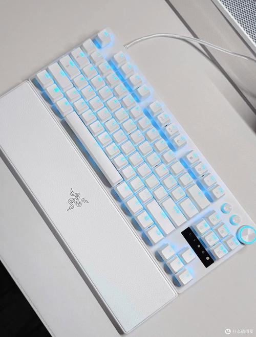 玩家使用键盘