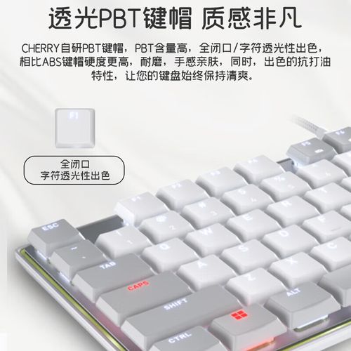 Keyboard with PBT keycaps