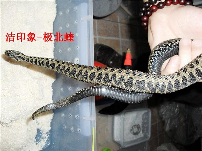 鼠标性能测试示意图