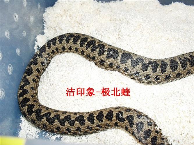 价格对比示意图