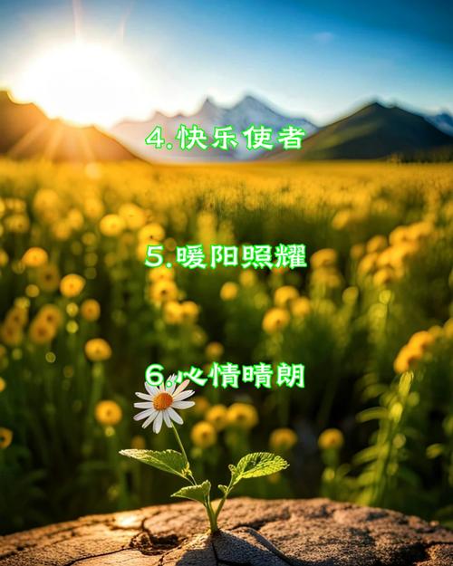 价格对比分析