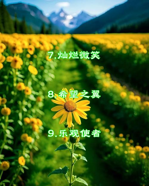 选购建议示意图