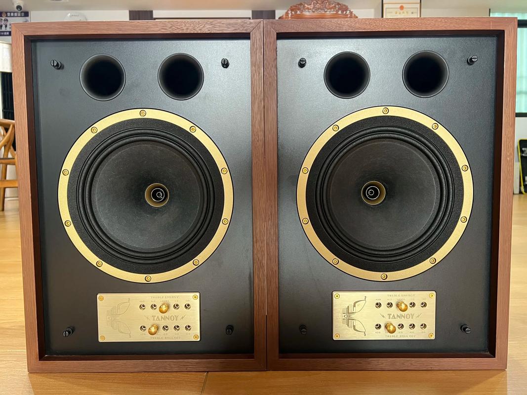 bostaudio MQ310 professional speaker