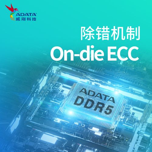 DDR5 内存颗粒与规格细节