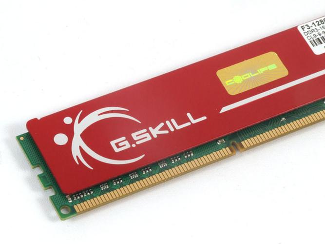 芝奇DDR3内存外观细节
