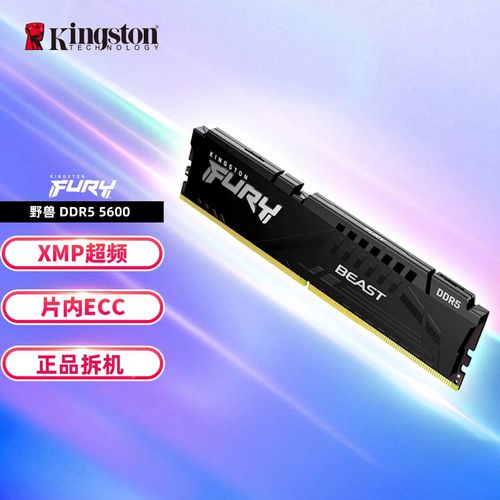 金士顿Renegade DDR5内存外观特写