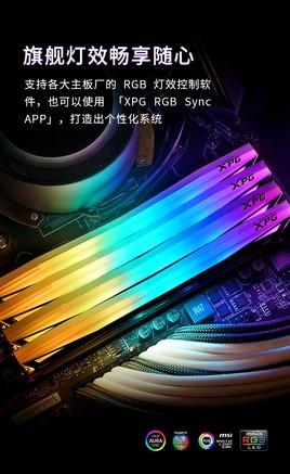威刚XPG龙耀D60G内存外观特写