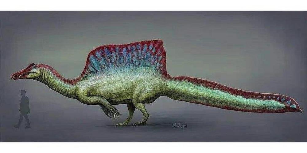 光电传感器特写