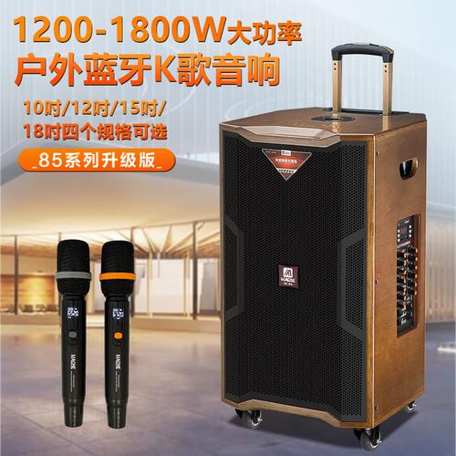 曼龙M-85音箱外观