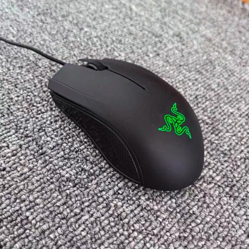 Gamer using mouse in action