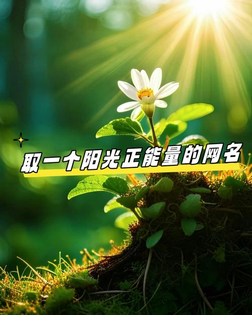 富善能曙光机箱购买建议
