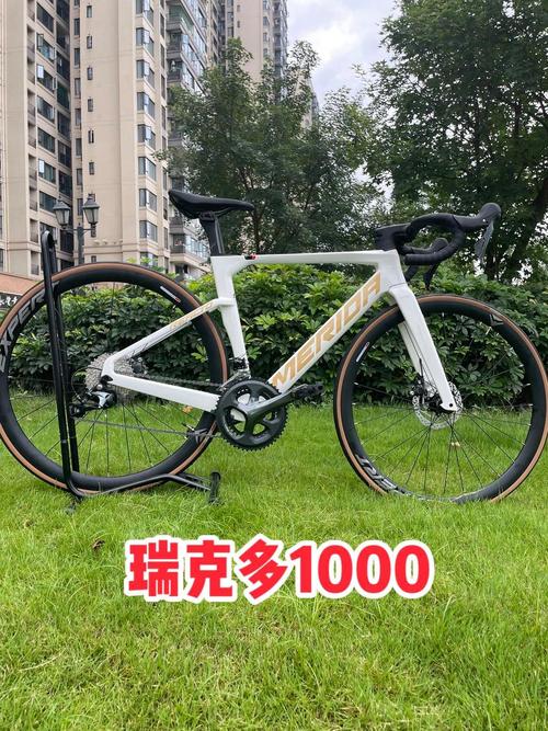 价格对比图表