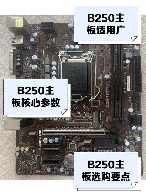 Micro ATX主板接口布局