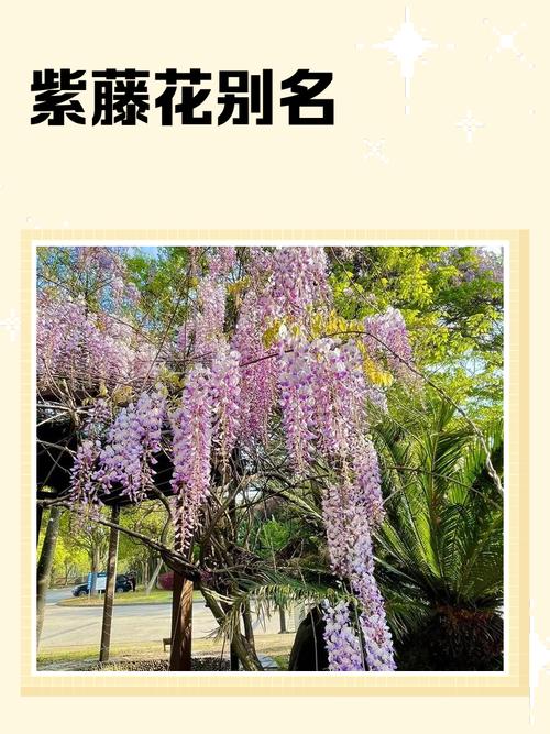 选购建议示意图