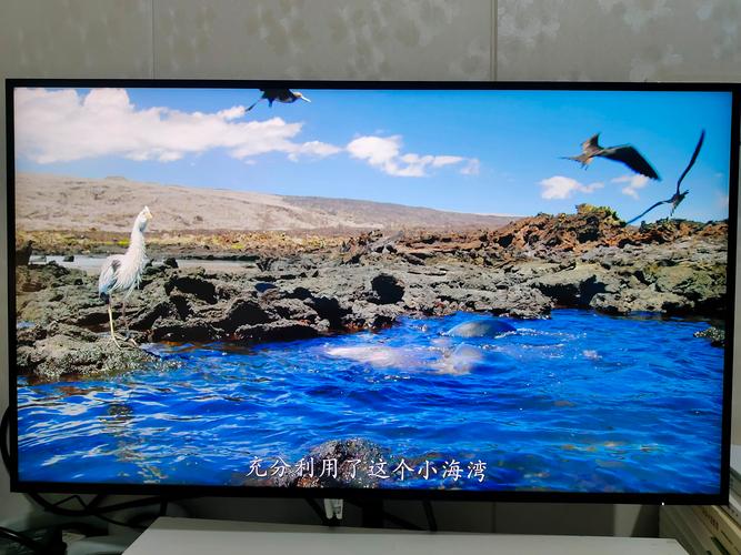戴尔D2720DS显示器接口特写