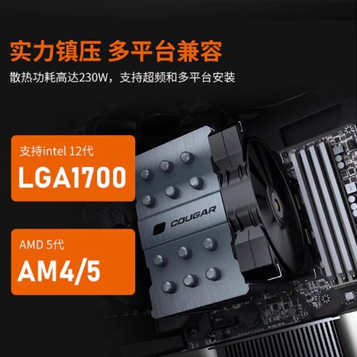 价格对比