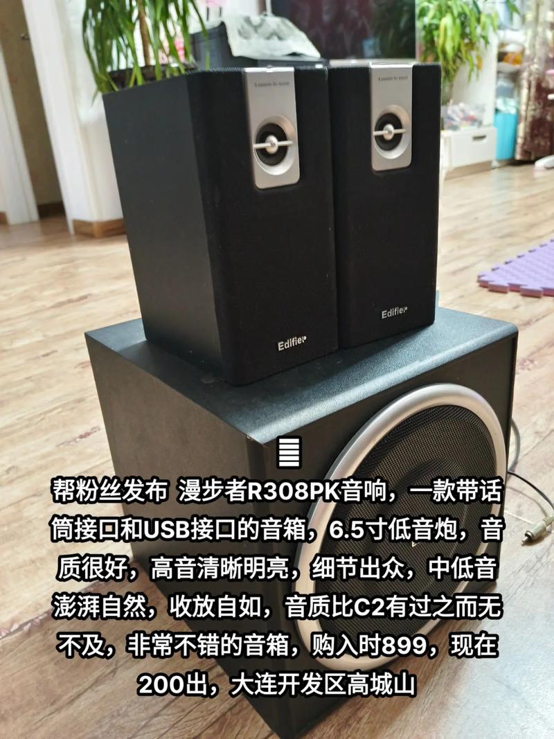 音箱技术规格和单元特写