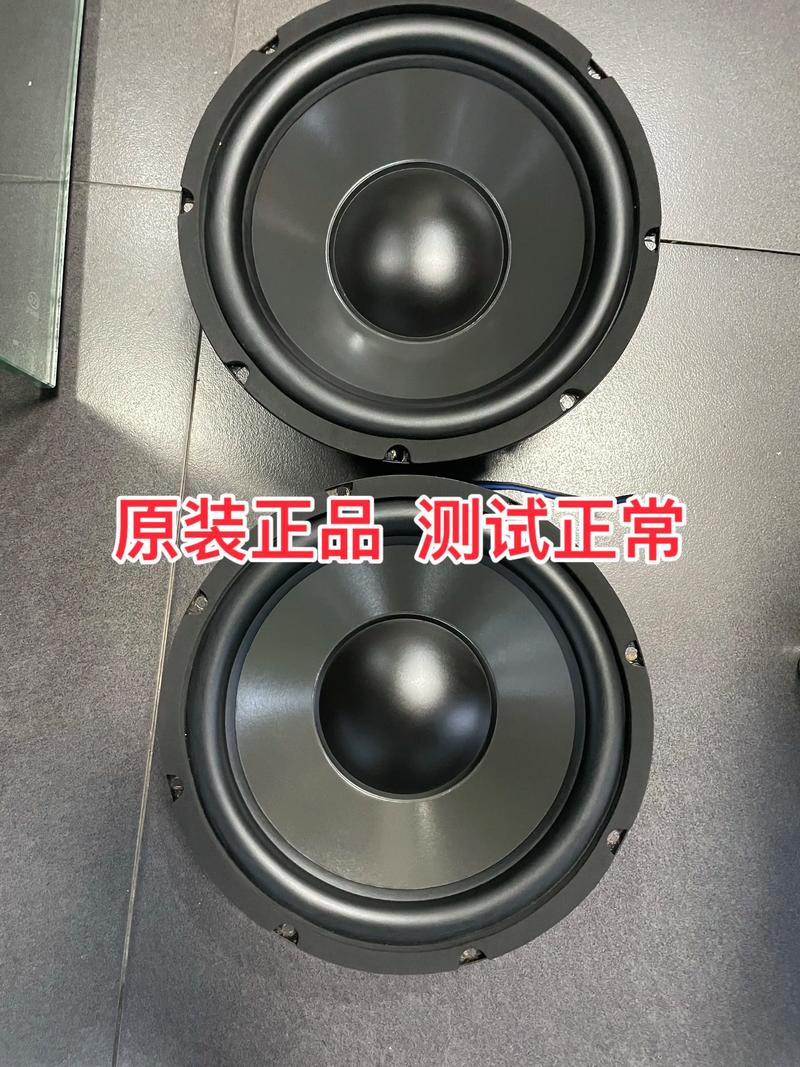 10 inch speaker driver close up