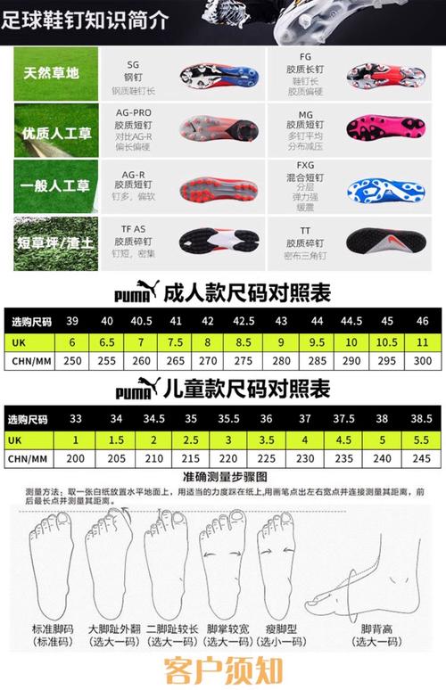 价格对比图表