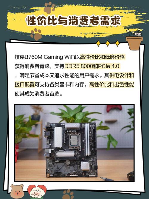 选购建议