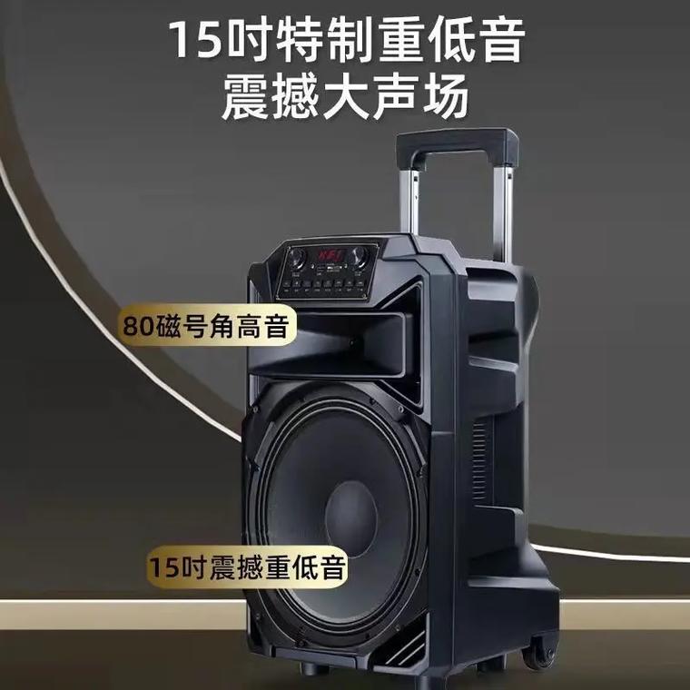 特美声天籁15号充电场景