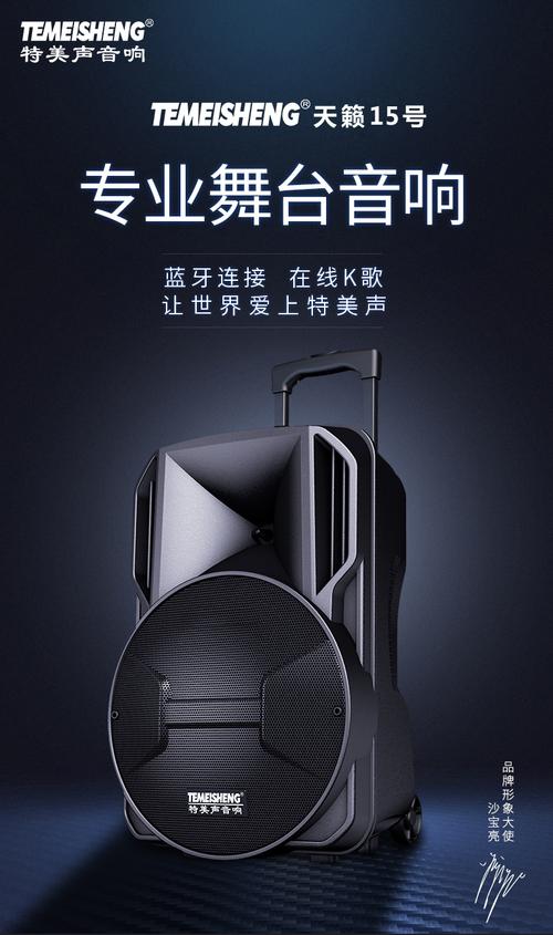 特美声天籁15号户外拉杆音箱整体外观