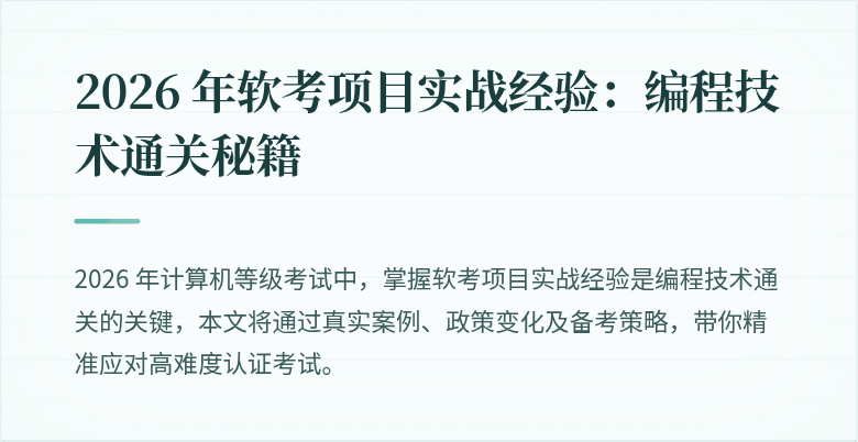 2026 年软考项目实战经验：编程技术通关秘籍