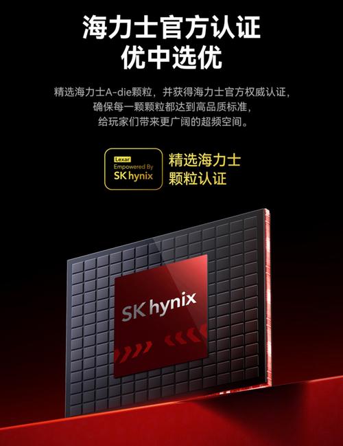 DDR5内存与主机加装细节