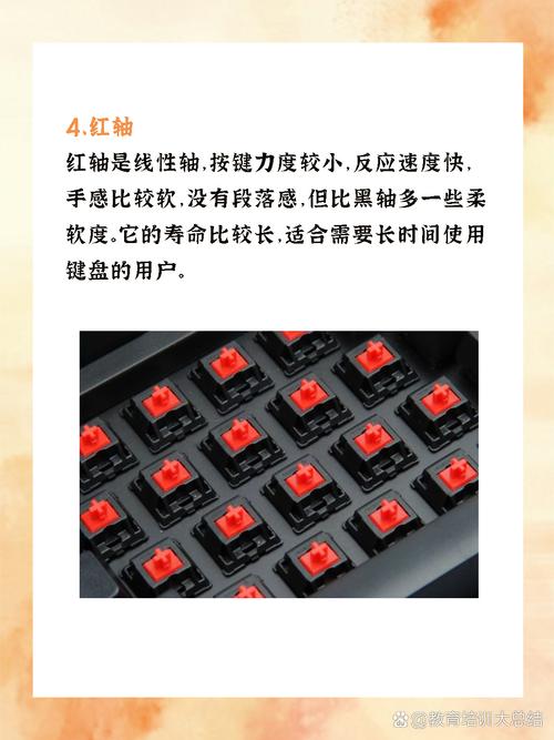 键盘价格标签展示