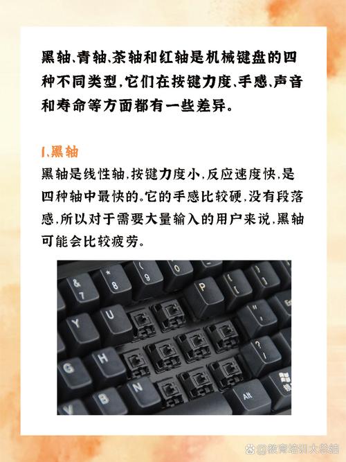 人体工学键盘使用场景