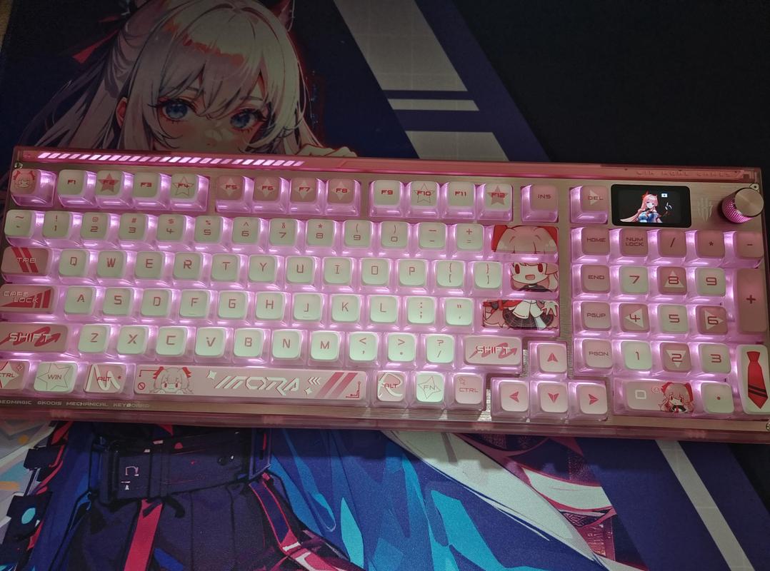 轴体特写与PCB结构