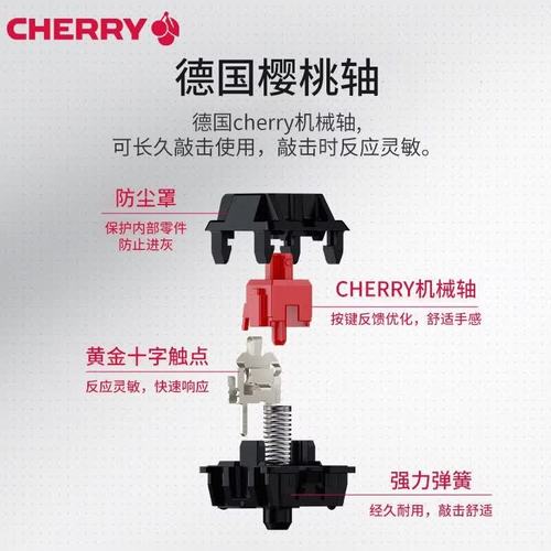 Cherry 轴体特写