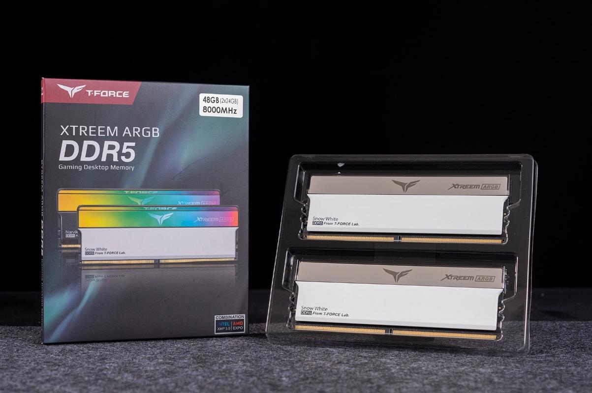 DDR5内存条内部芯片结构