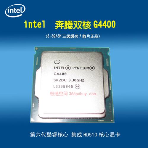 Intel 奔腾双核 G4400:入门级办公与轻度娱乐的性价比之选