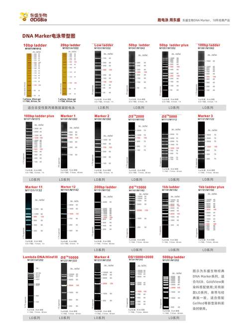 mkespn 5001 标准版深度评测：iOS 生态下的高性价比无线鼠标