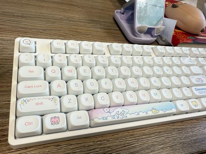 AKKO 5108B PLUS 玉桂狗联名 vs 雷神 KG3089R 深度对比