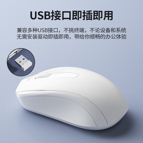 鼠标包装与配件展示