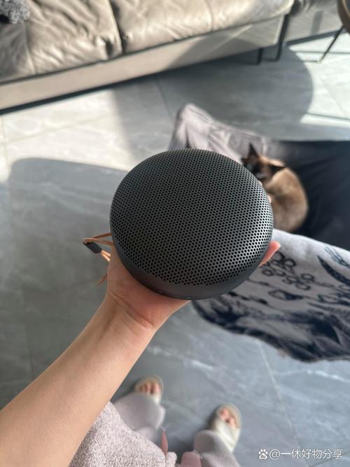 扬声器单元特写