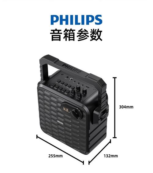 户外聚会播放音乐场景