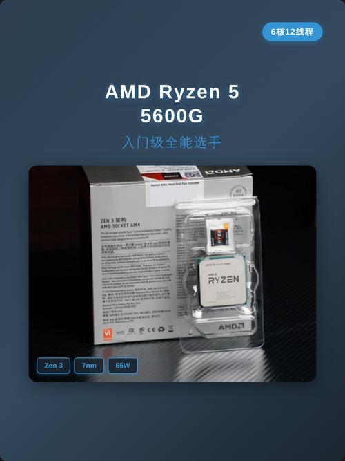 AMD Ryzen 5 5600G 深度评测：Zen 3 架构入门级核显霸主