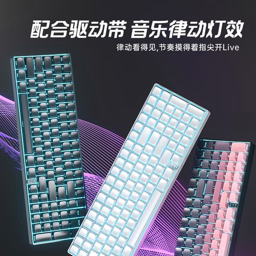 茶轴轴体特写
