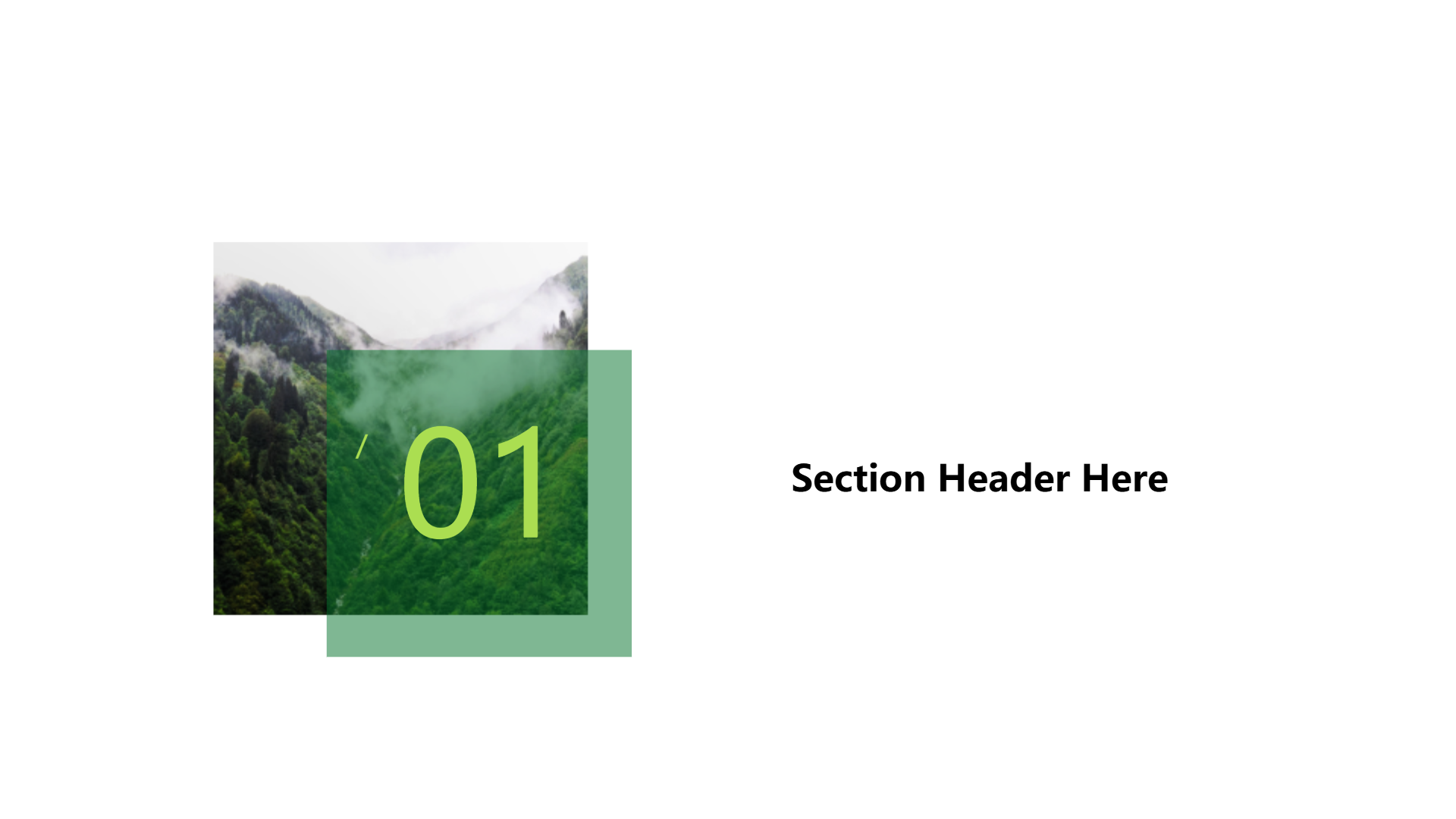 绿色清新主题演示模板 - 第 3 页