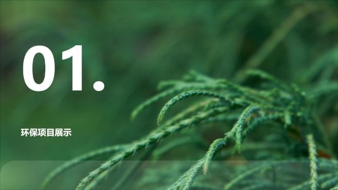 绿色清新自然主题演示模版 - 第 3 页