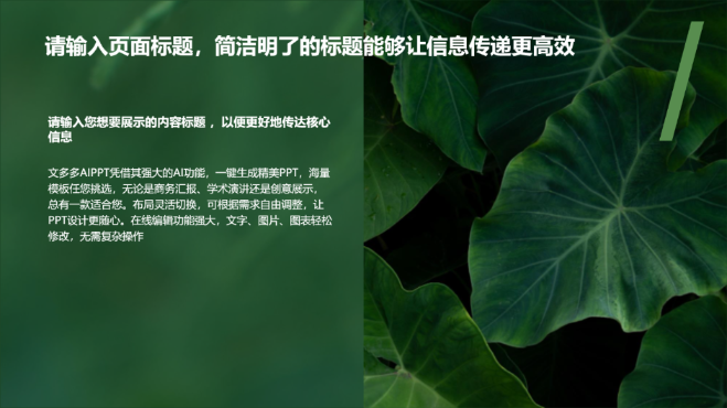 绿色清新自然主题演示模版 - 第 4 页