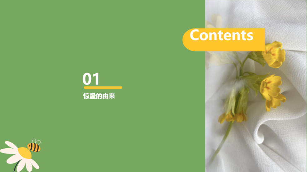 绿色花卉主题插画风格演示模版 - 第 2 页