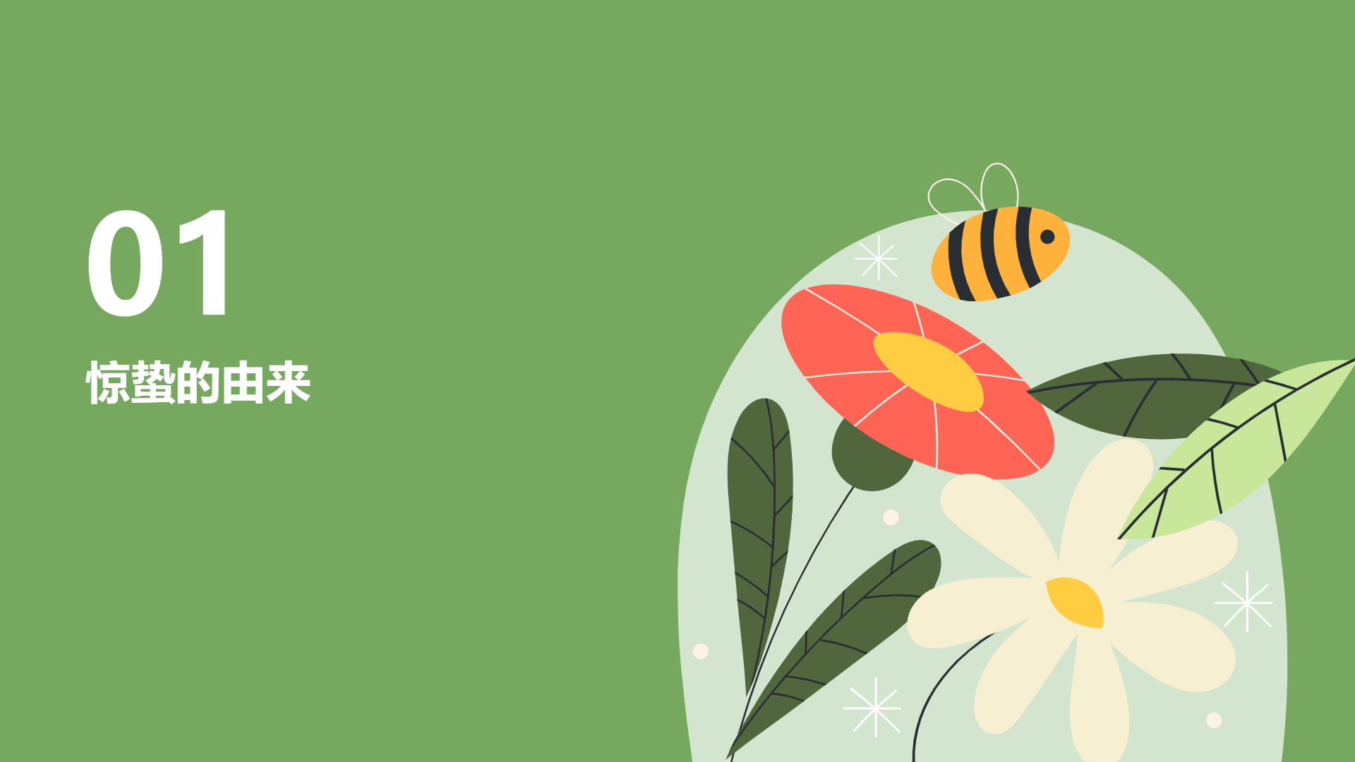 绿色花卉主题插画风格演示模版 - 第 3 页