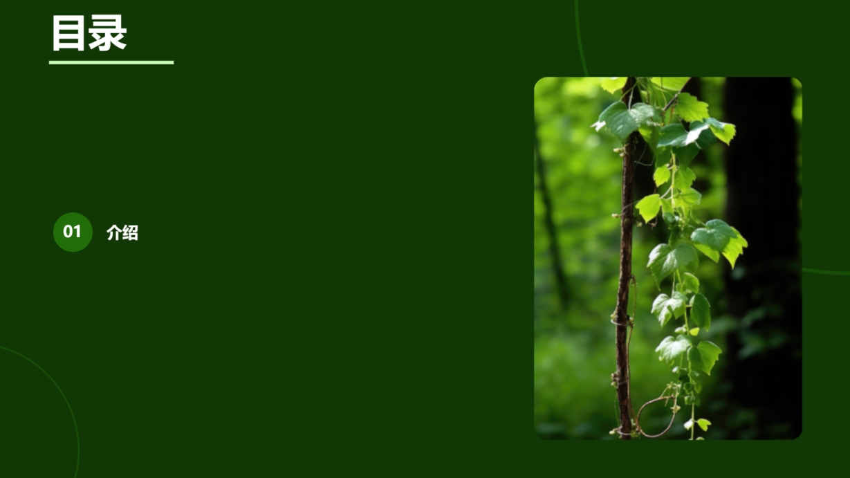 绿色环境主题 - 第 2 页