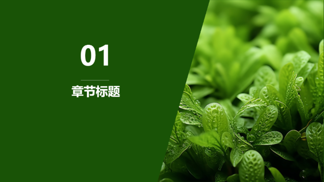 绿色环境主题 - 第 3 页